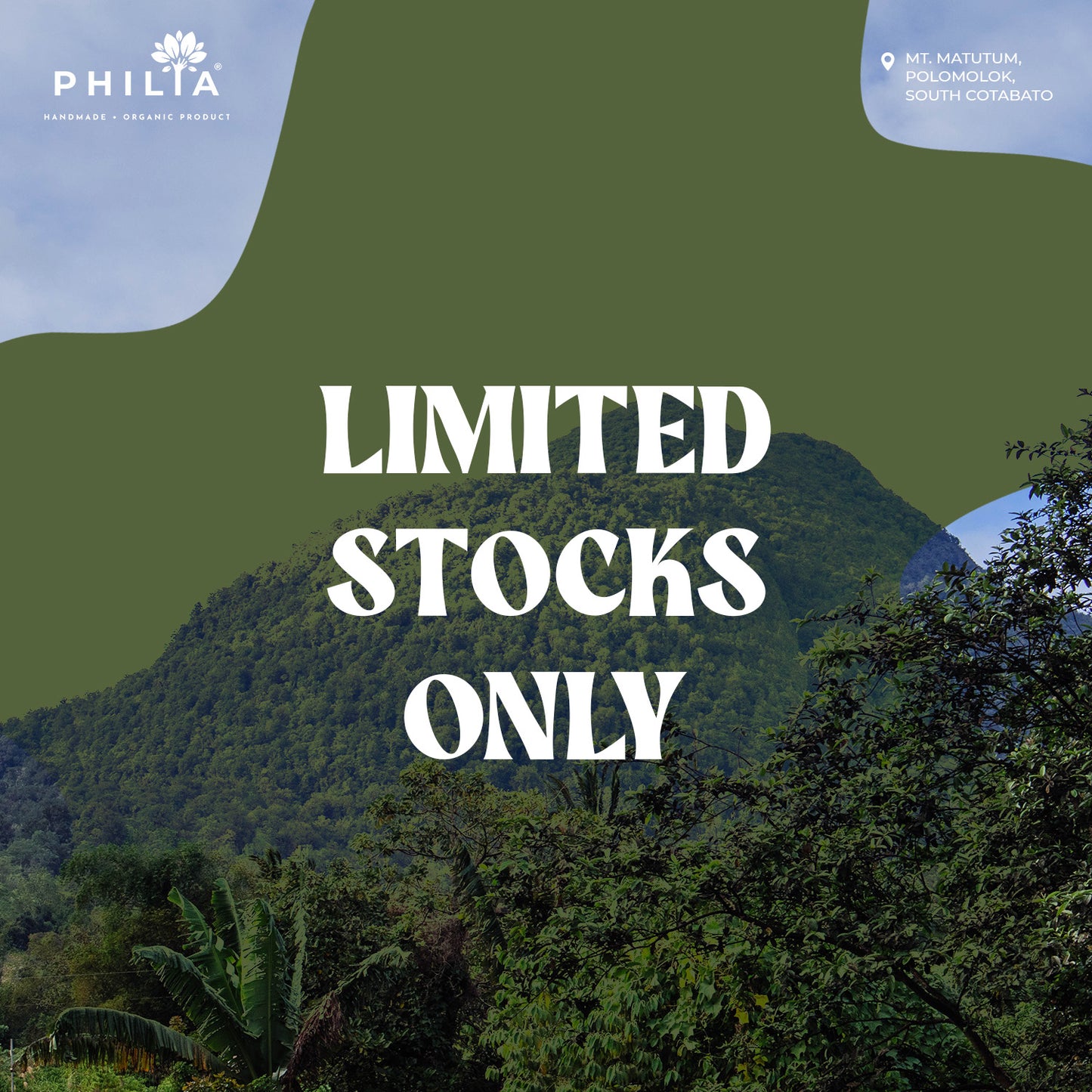 Wild Civet Coffee - Mt. Matutum, South Cotabato