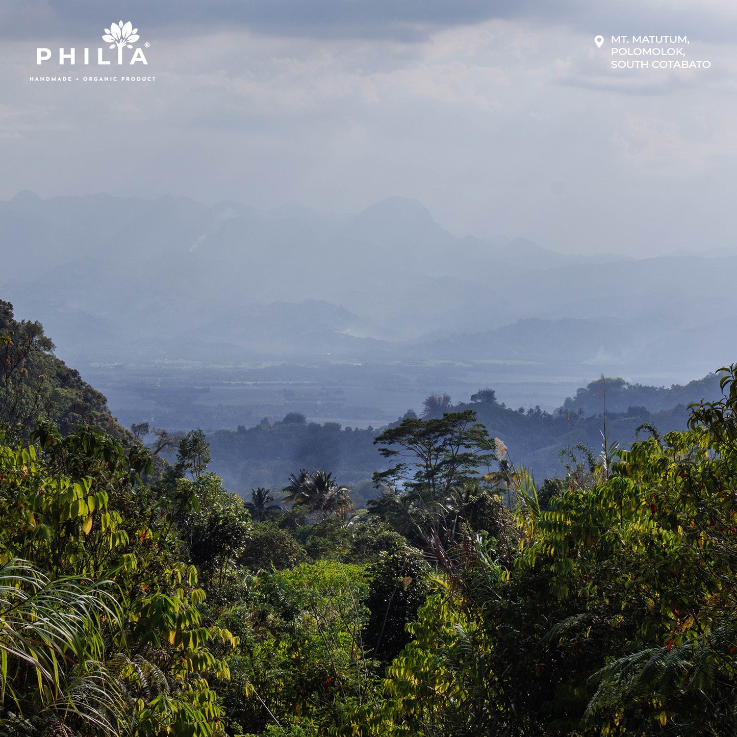 Wild Civet Coffee - Mt. Matutum, South Cotabato