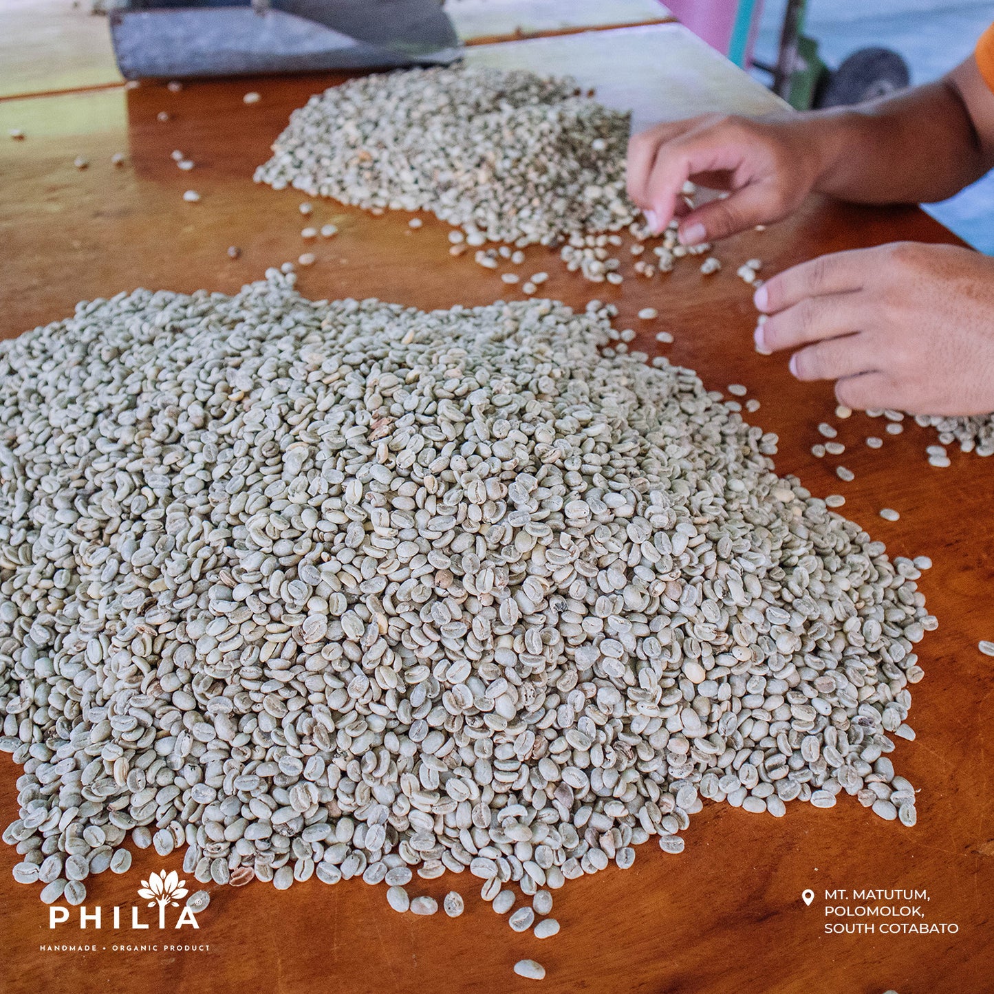 Mt. Matutum - Premium Arabica - MCF 2025 Limited Edition
