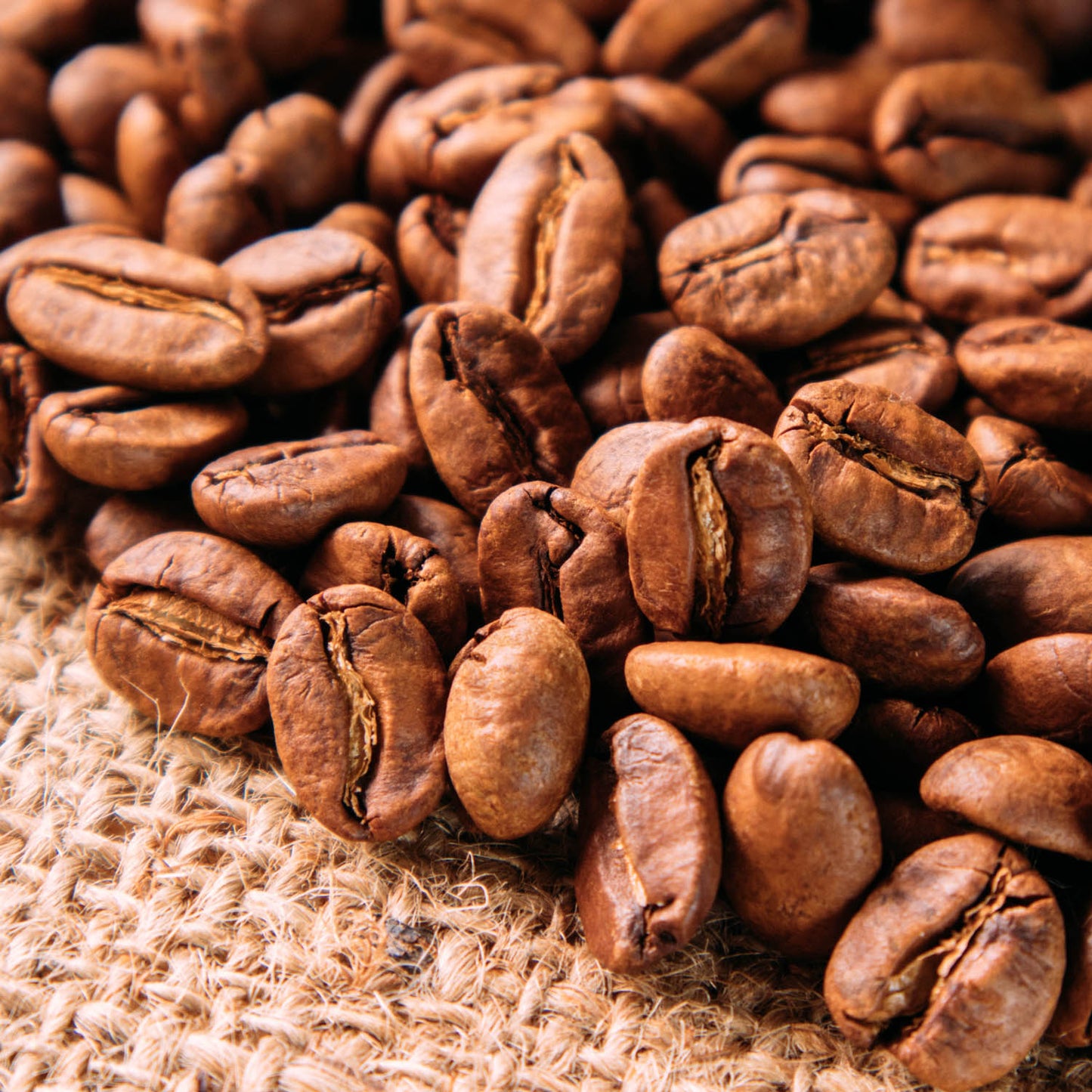 Mt. Apo - Specialty Arabica - Sergio & Lendilou Loon