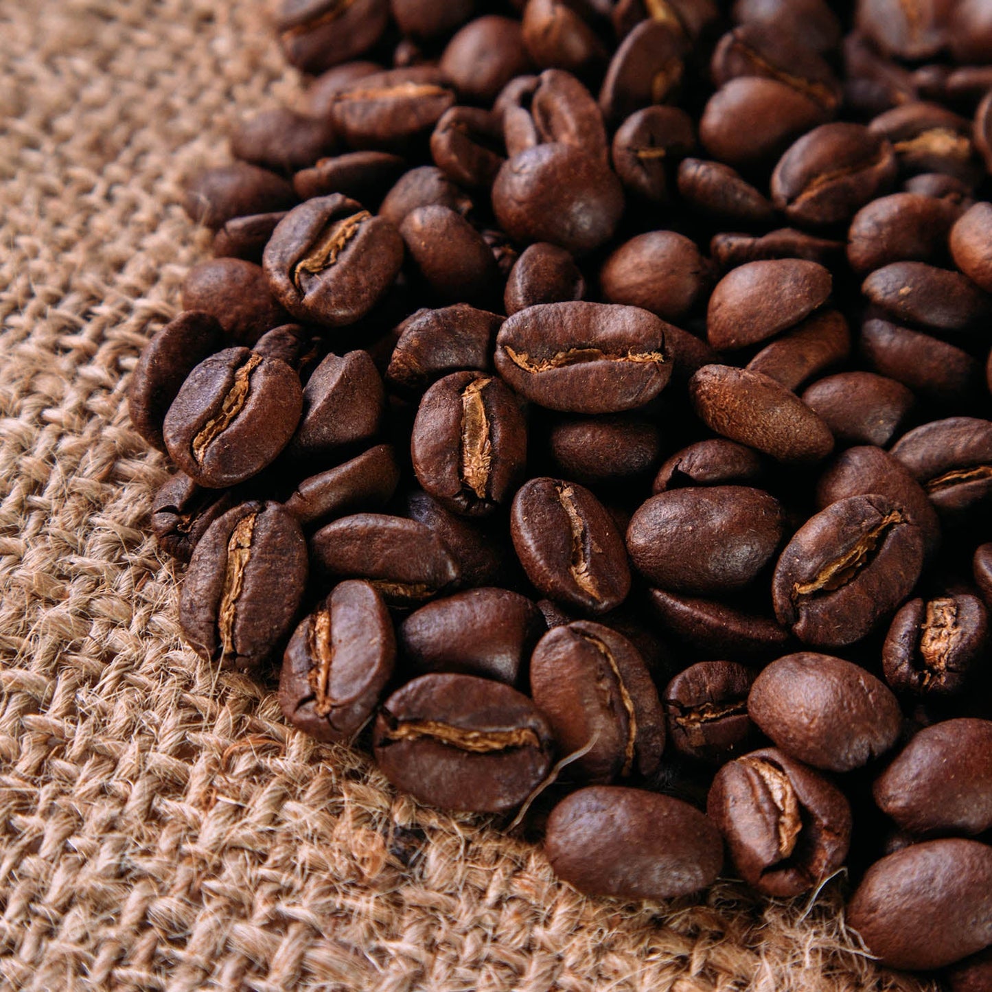 Alamada - Specialty Bourbon Arabica