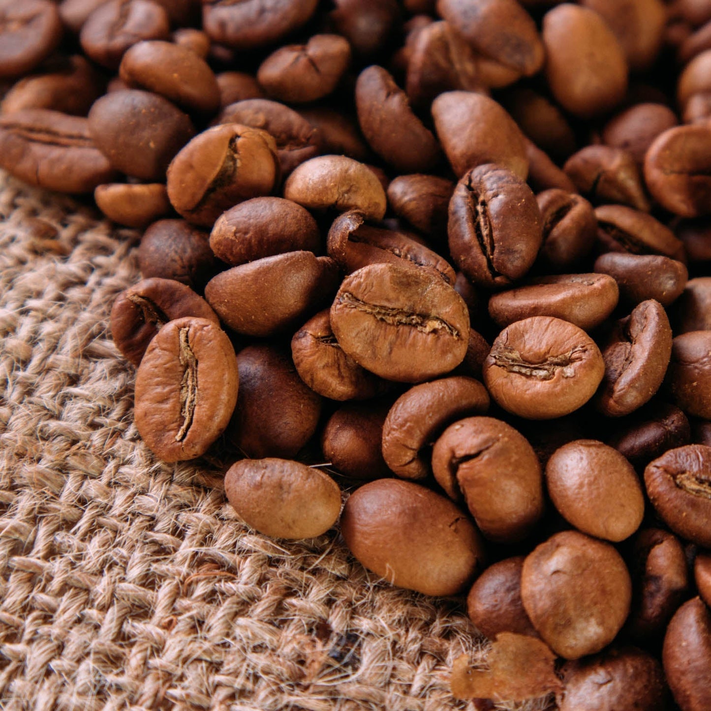 Sultan Kudarat - Fine Robusta - ReyJohn Basco - Crop Year 2023