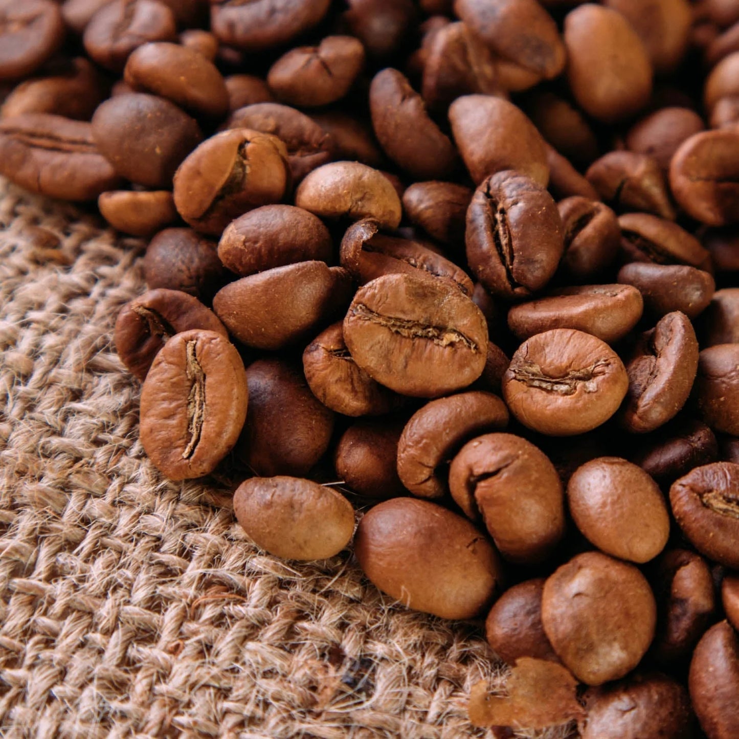 Sabanal, Sultan Kudarat - Premium Robusta - MCF 2025 Limited Edition